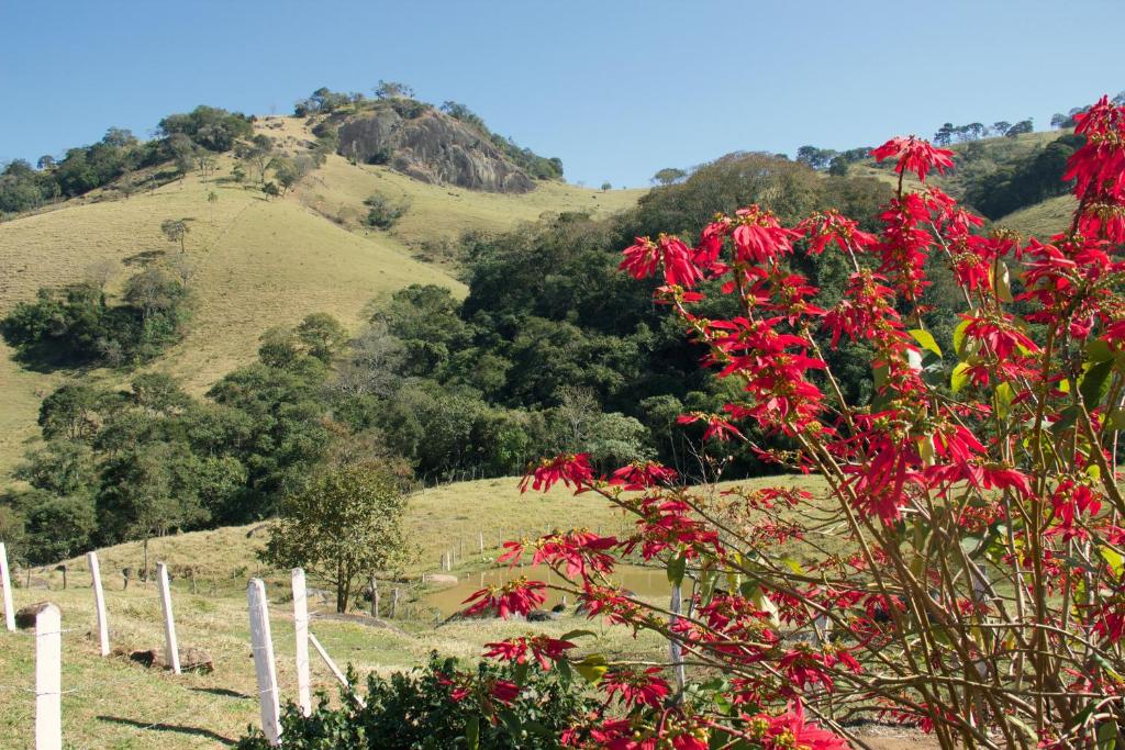  Sitio Terras de Piata
