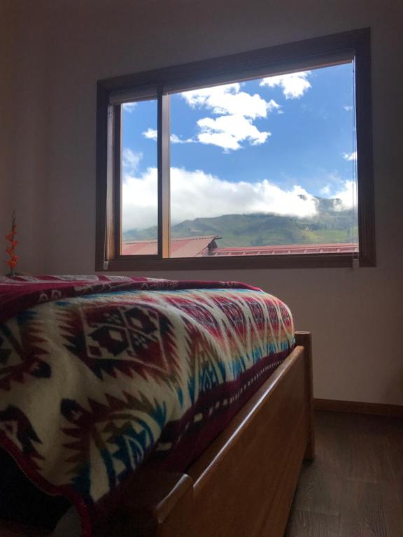 Příroda nedaleko hostelu