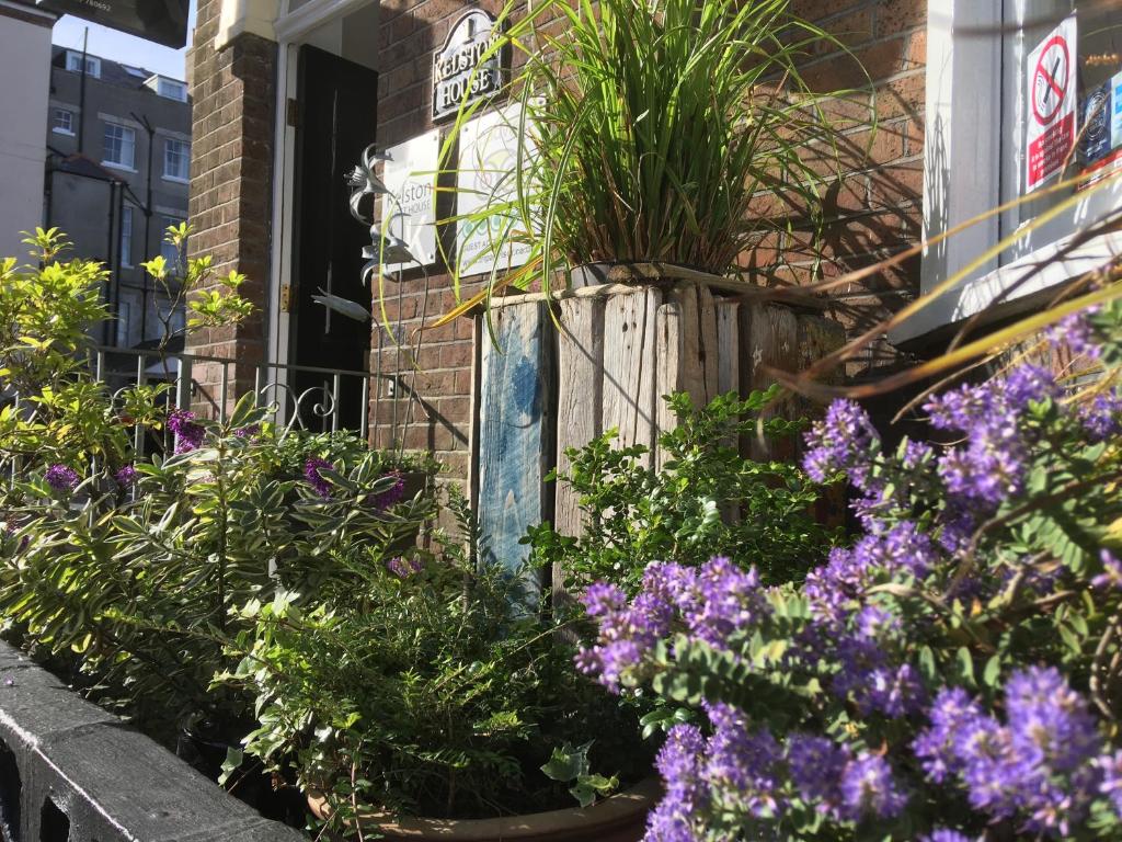 a garden of flowers in front of a house at Kelston Guest House in Weymouth