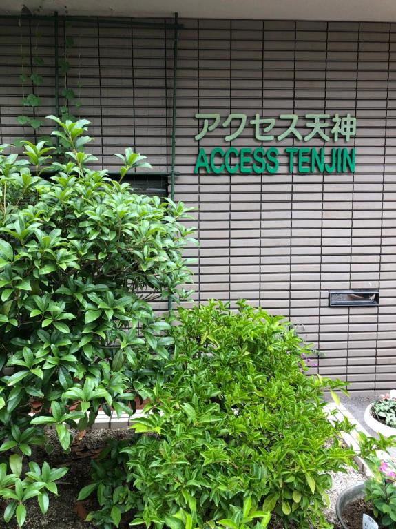 Zahrada ubytování Accecss Tenjin
