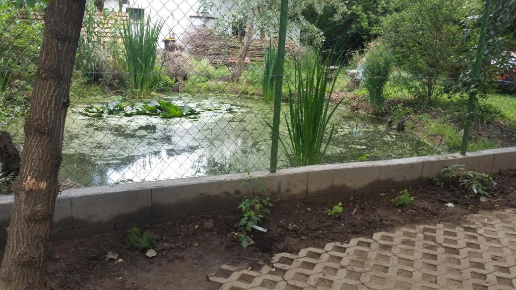 Zahrada ubytování Élő Tisza Vendégház