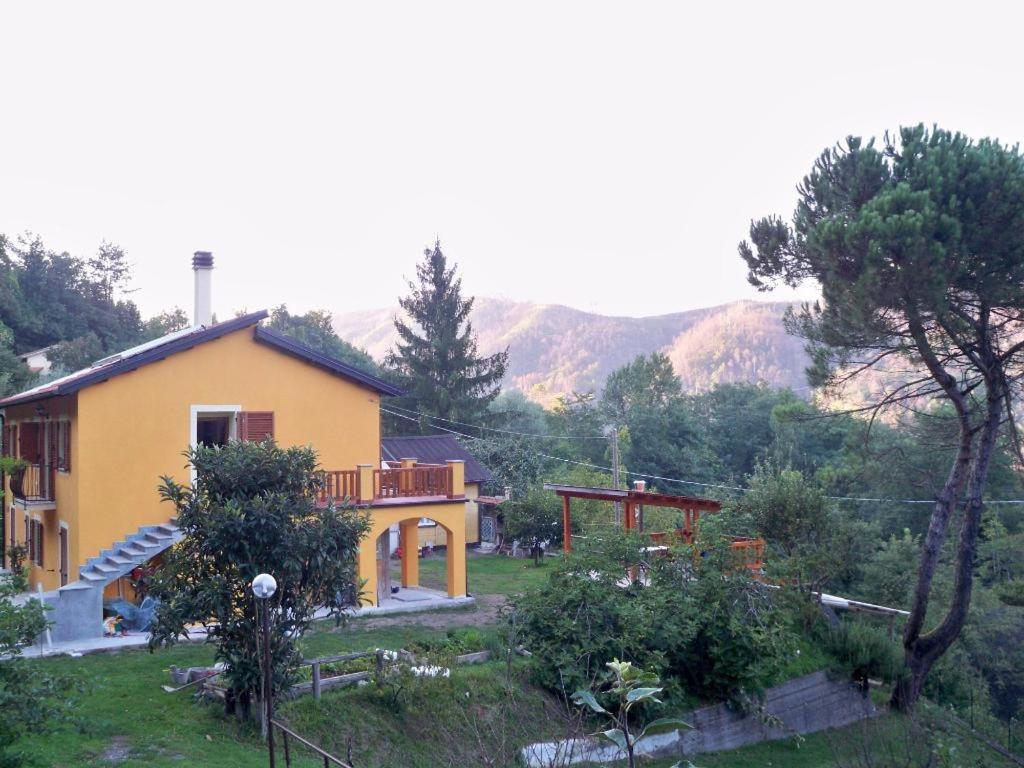 Příroda nedaleko bed and breakfast