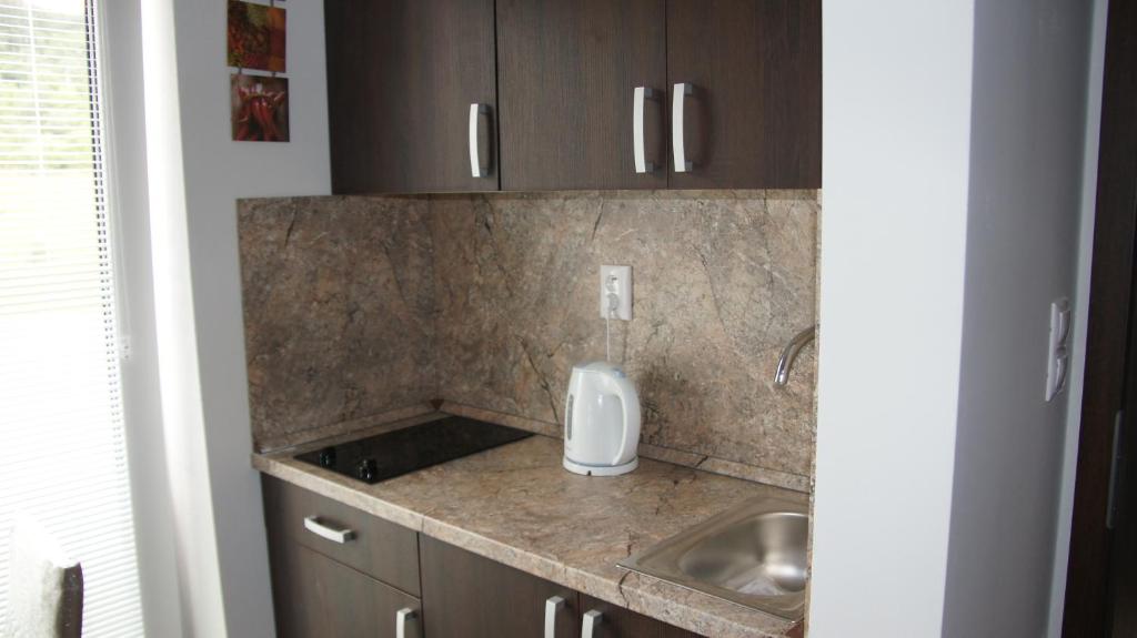 Kuchyň nebo kuchyňský kout v ubytování Apartmany pri lese