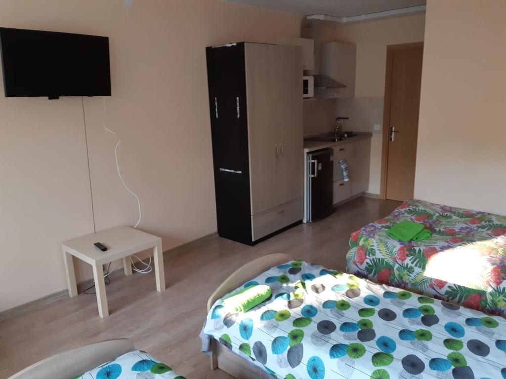 Kuchyň nebo kuchyňský kout v ubytování Little Amber Apartments
