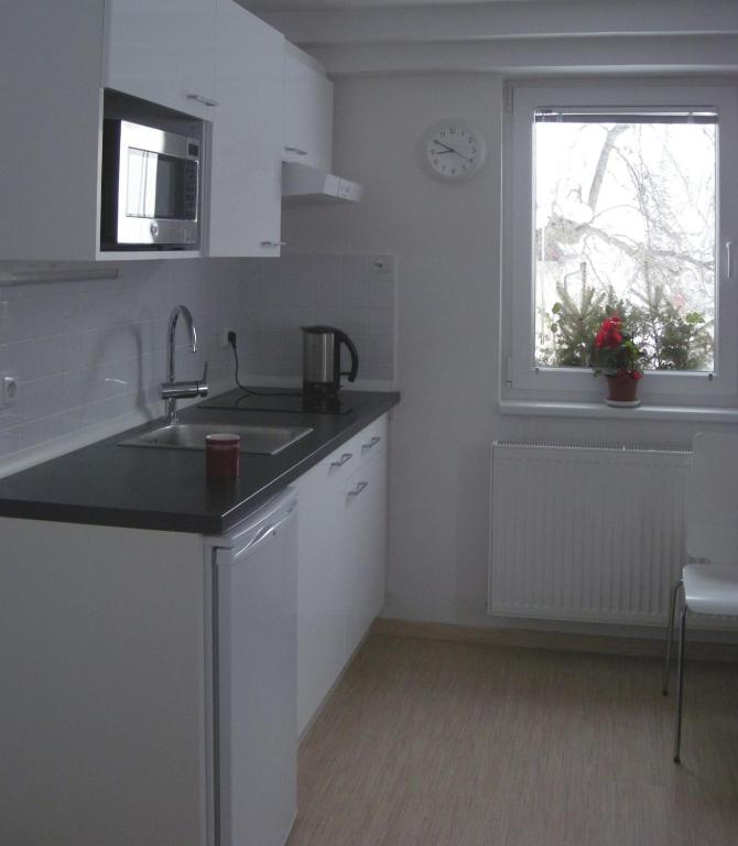 Kuchyň nebo kuchyňský kout v ubytování Apartment Red Tree