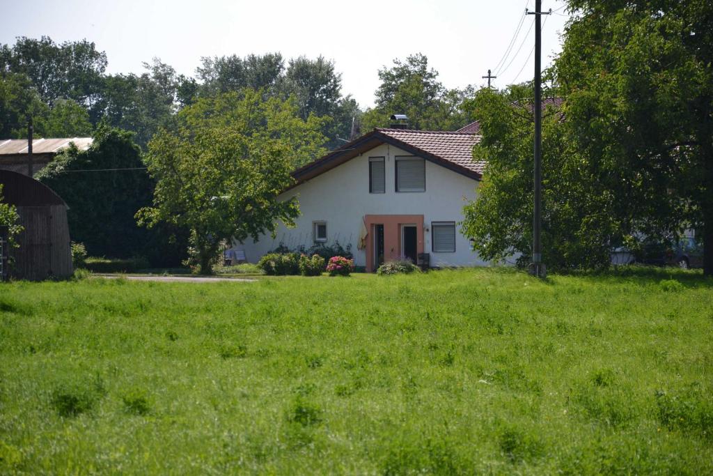 una casa blanca en un campo de césped verde en FeWo Oberle en Ottenheim