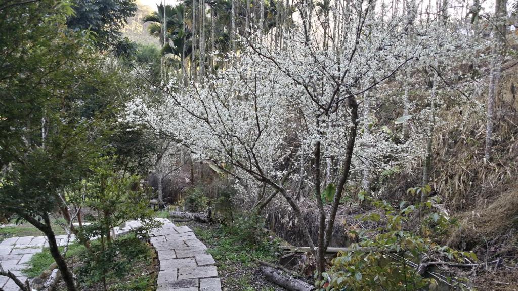 Zahrada ubytování Bright Moon Homestay