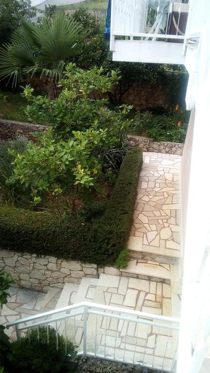 Zahrada ubytování Villa Calypso