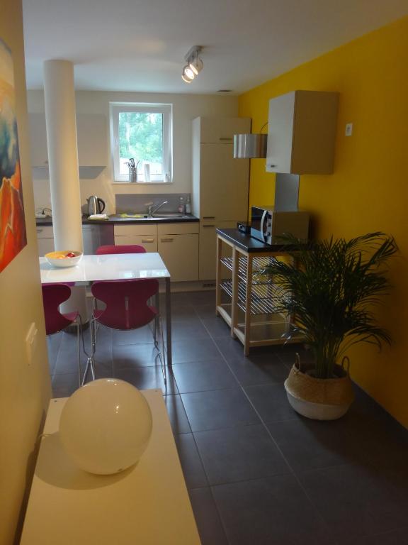 Kuchyň nebo kuchyňský kout v ubytování Appartement rez Terrasse et Jardin