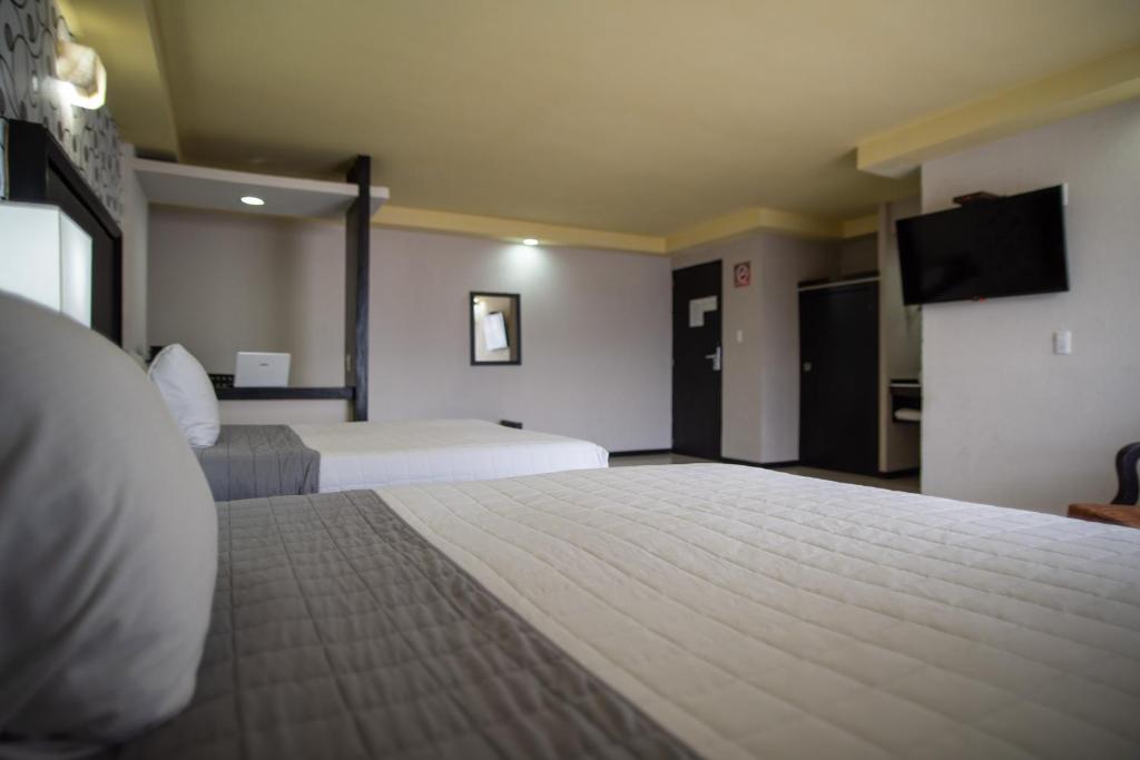 TV a/nebo společenská místnost v ubytování Hotel Ha