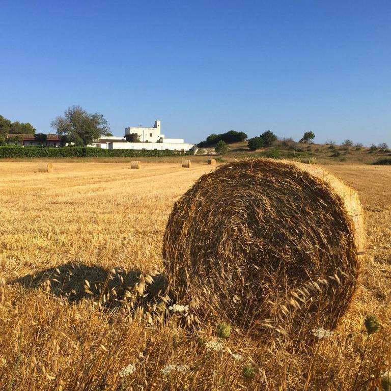 Fotografie z fotogalerie ubytování Masseria Fabrizio v destinaci Otranto