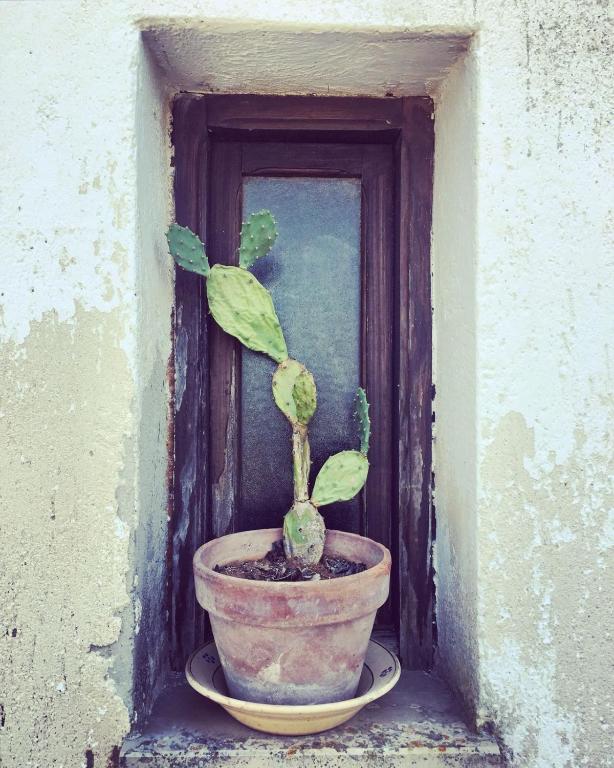 Fotografie z fotogalerie ubytování Masseria Fabrizio v destinaci Otranto