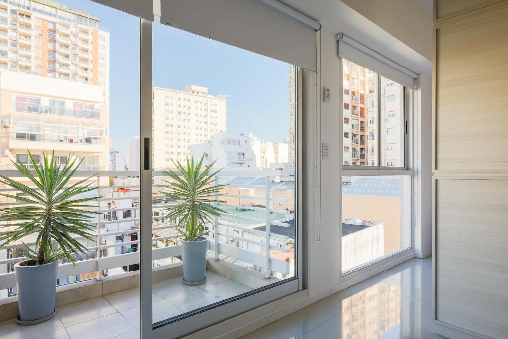 a large window with two palm trees on a balcony at Gorriti Palace in Buenos Aires