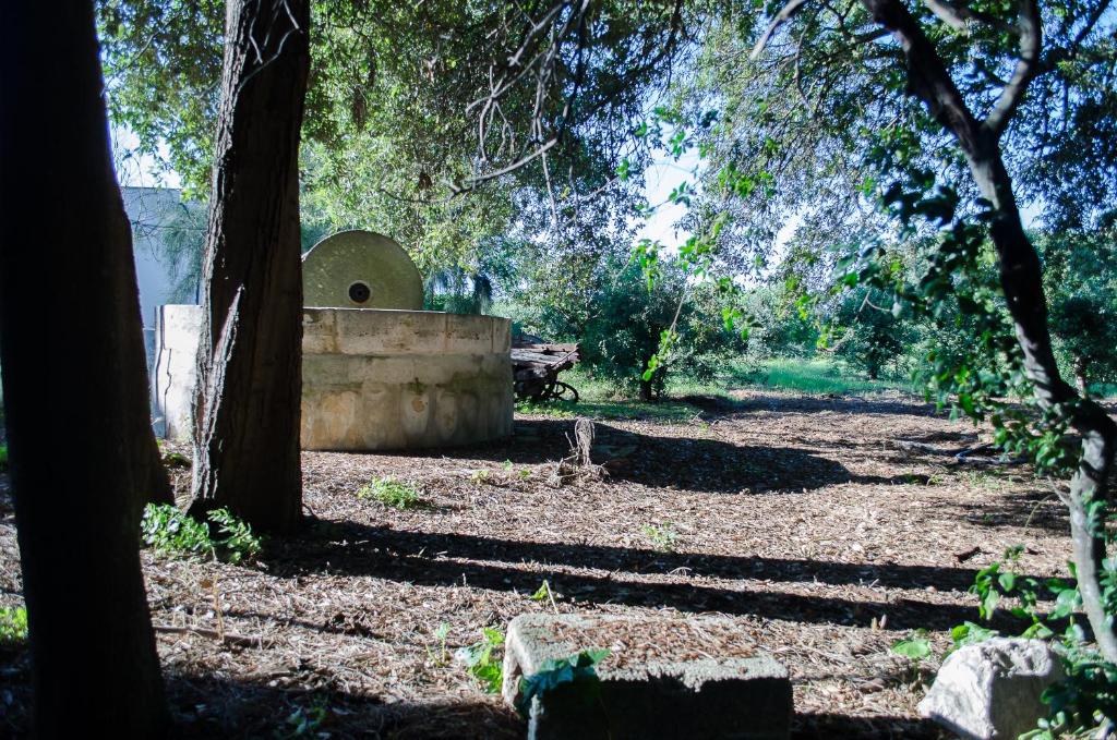 Zahrada ubytování Agriturismo Capani
