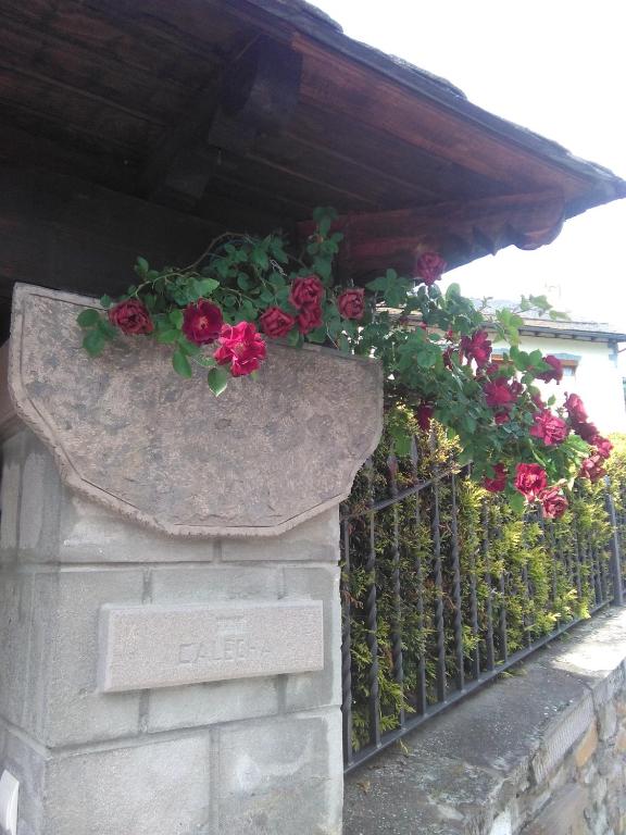 Zahrada ubytování Casa Rural Calecha