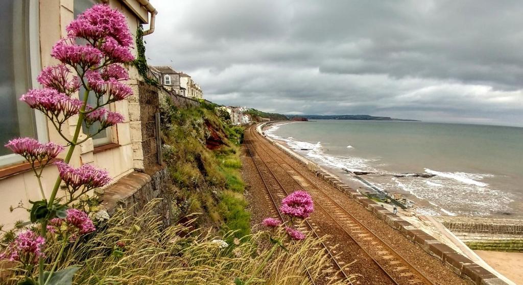 un edificio con flores púrpuras junto a una playa en No. 2 Watch House, en Dawlish