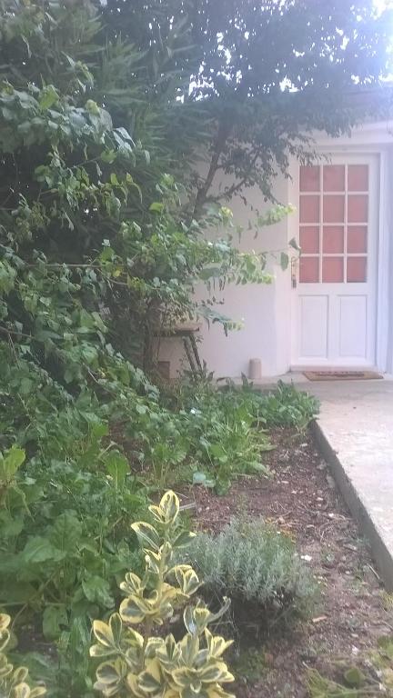 Vonkajšia záhrada v ubytovaní Apartment Park Marjan