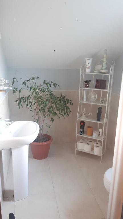 Fotografie z fotogalerie ubytování Nellies Cottage B&B v destinaci Kilcogy