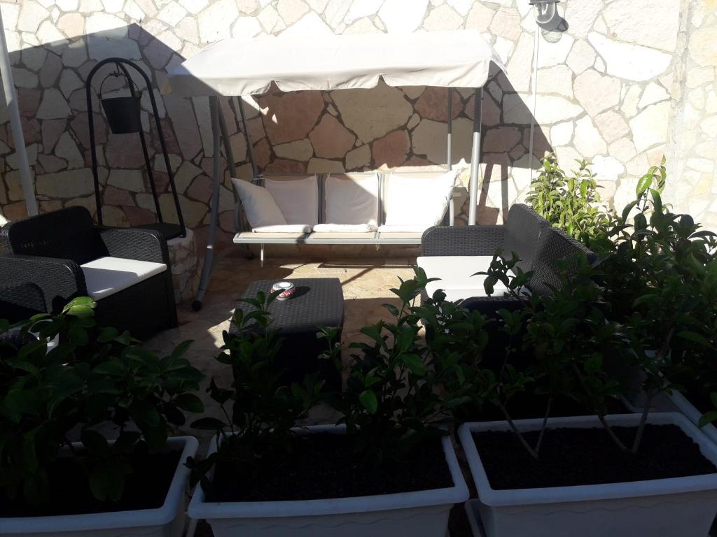 A garden outside Villa Lucia