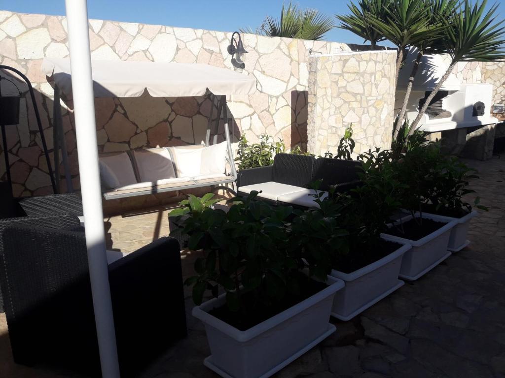 A garden outside Villa Lucia