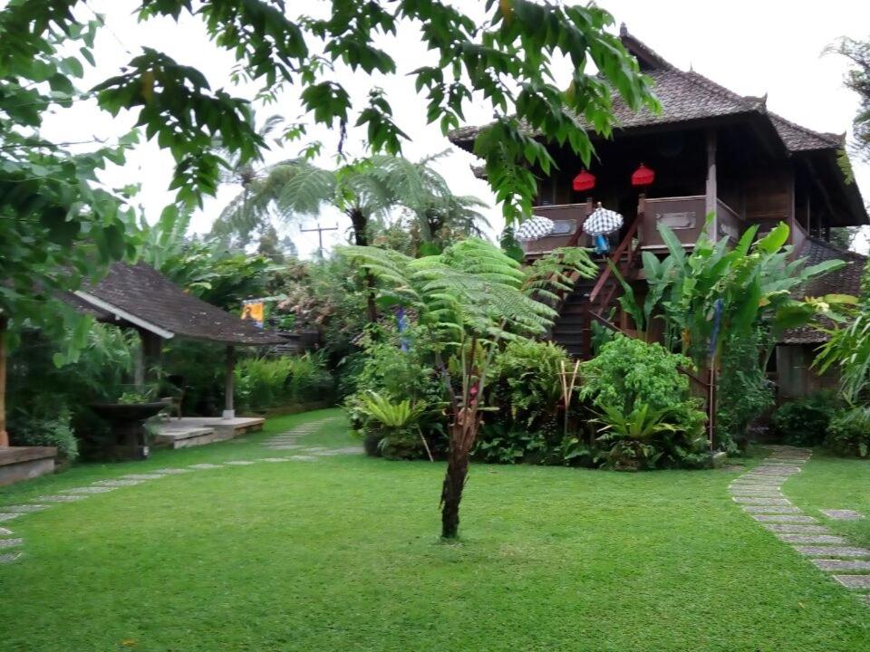 a house with a green lawn in front of it at Bali Mountain Retreat in Selemadeg