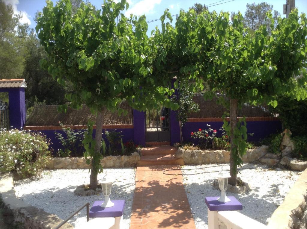 RodonyàにあるLa torreの紫の根の庭の木