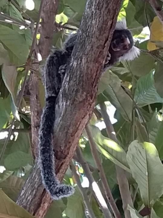  Pousada Porto d'Angola