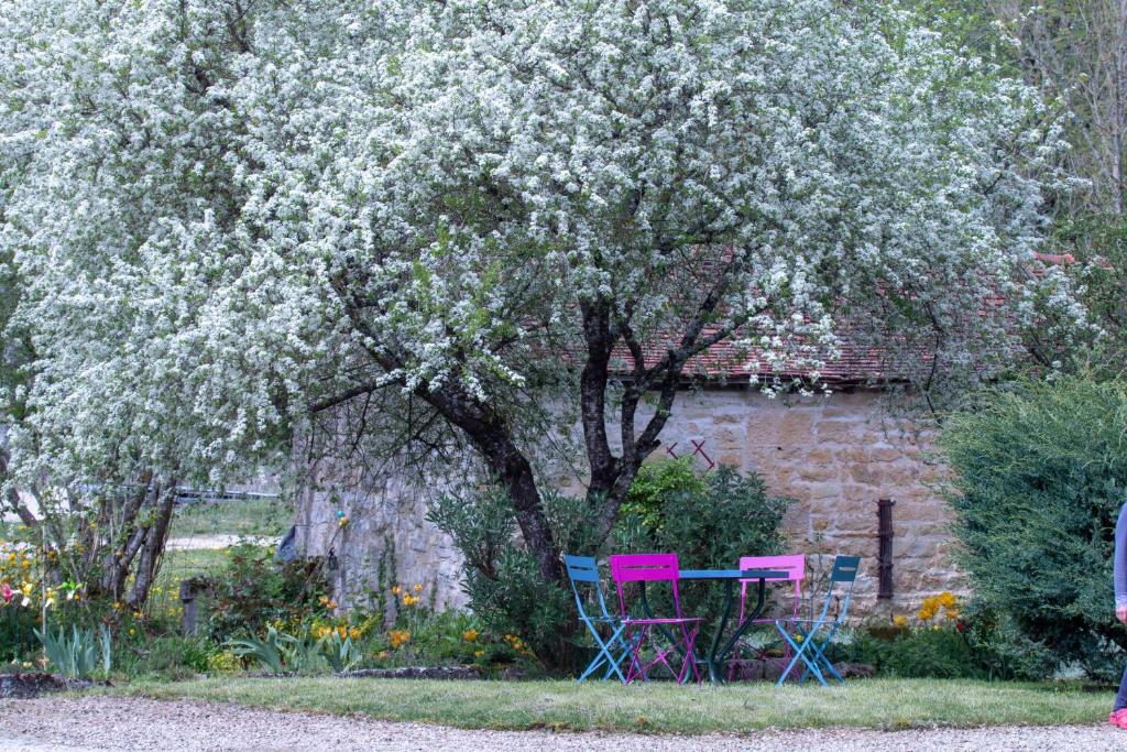 una mesa y sillas bajo un árbol con flores en La Grande Vesvre, en Gigny