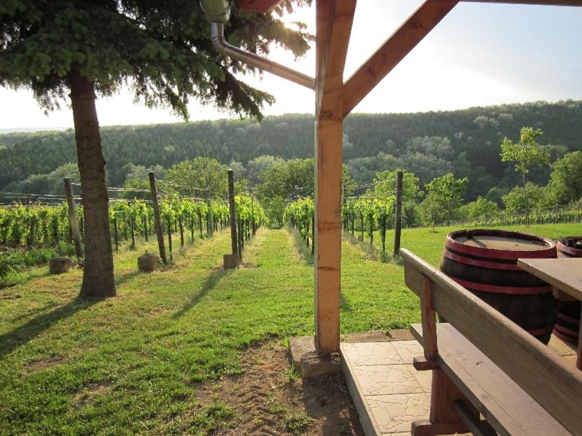 Zahrada ubytování Förhénc Wine House & Guesthouses I-II-III