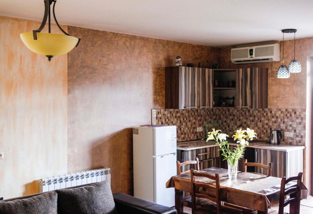 Kuchyň nebo kuchyňský kout v ubytování Family Mini-Hotel Martirosyan's and tours