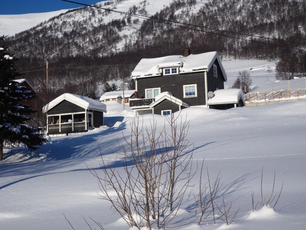 uma casa está coberta de neve com uma montanha em Apartment between Ustaoset and Geilo em Geilo