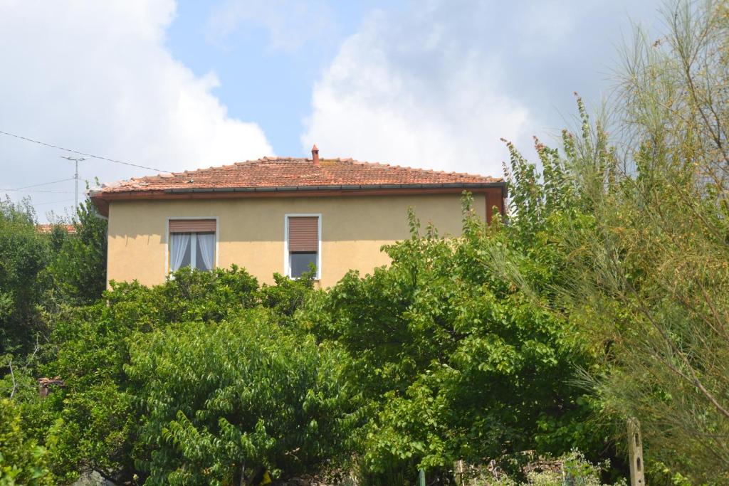a yellow house with a red roof behind trees at La casa del Prussiano in Diano Castello