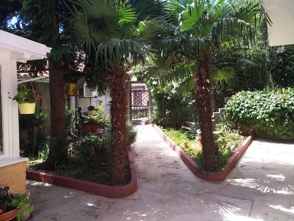Zahrada ubytování Apartman Plasse
