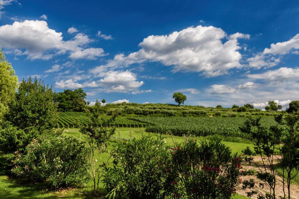 Príroda v okolí of the country house