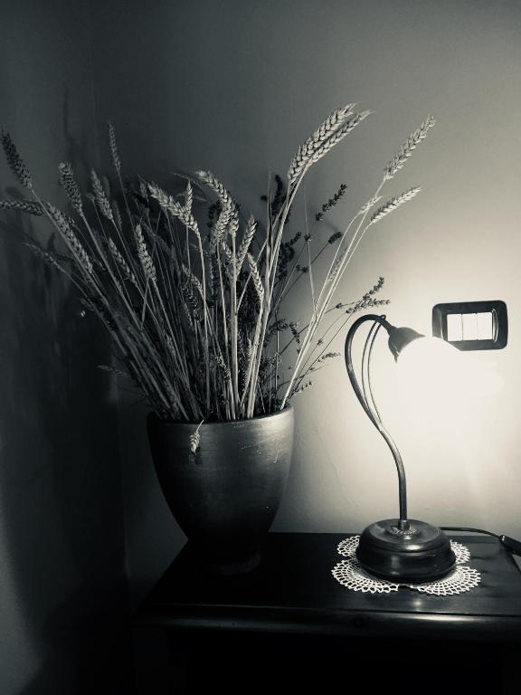 Fotografie z fotogalerie ubytování Cà 'd Gnese v destinaci Castagnole Lanze