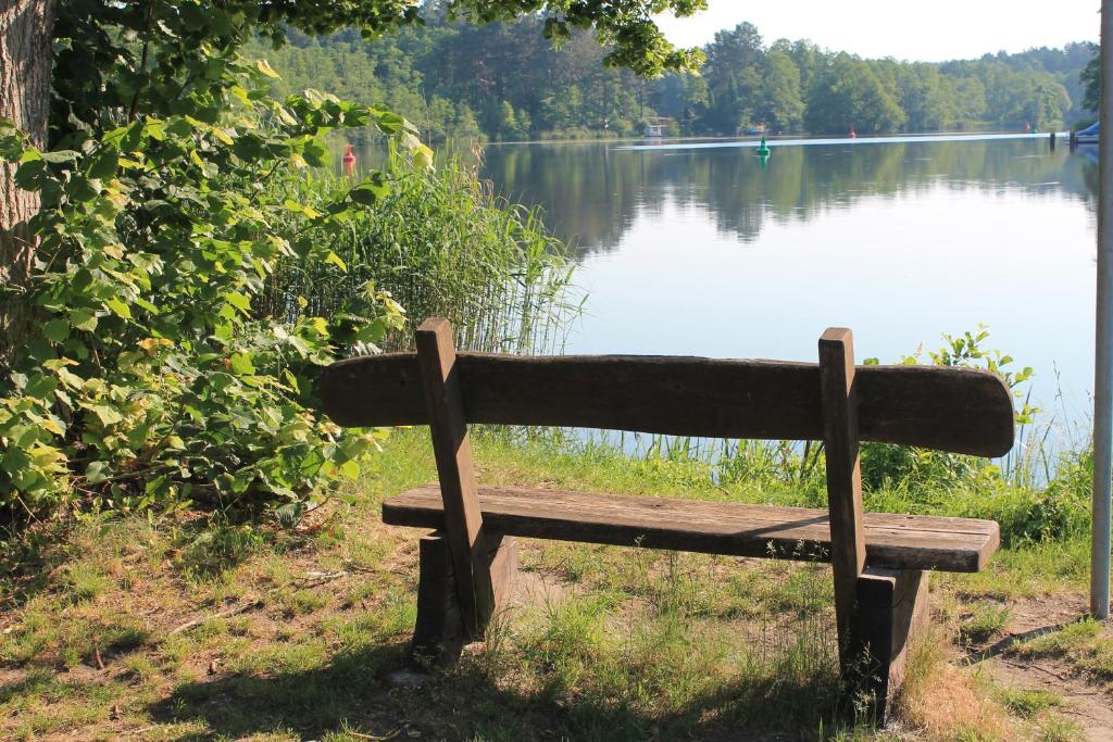 a wooden bench sitting in front of a lake at Ferienappartement am See II im Biospharenreservat Schorfheide in Schorfheide