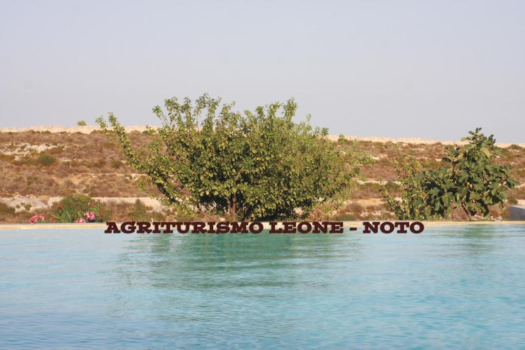 een boom in het midden van een waterlichaam bij Agriturismo Leone in Testa dellʼAcqua