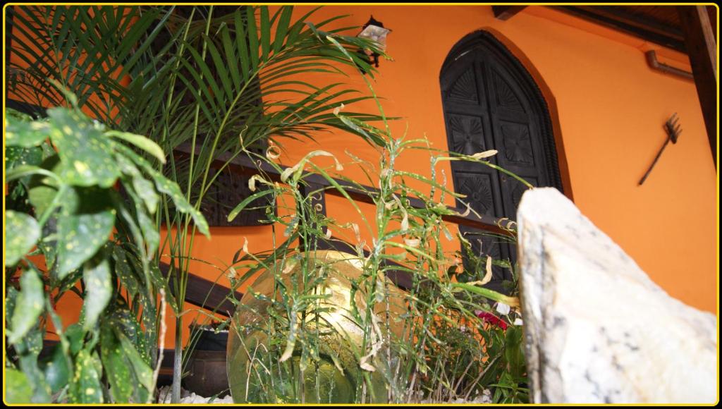 A garden outside Villa Spa Las Tinajas