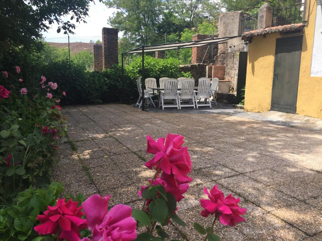 Zahrada ubytování Casa Camino Real