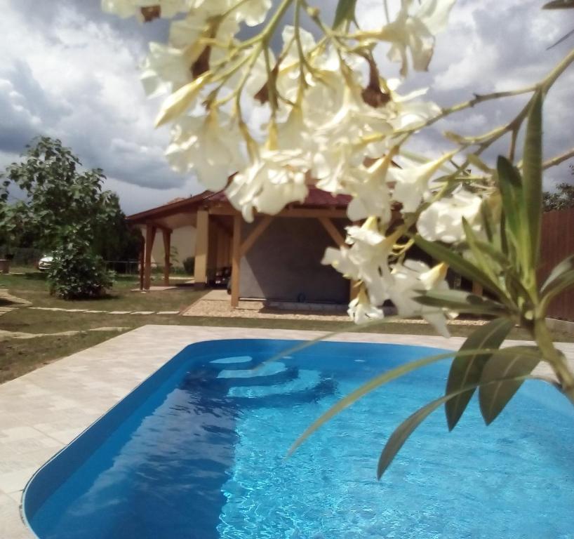 a villa with a swimming pool and a house at Potyka Apartman in Tiszafüred