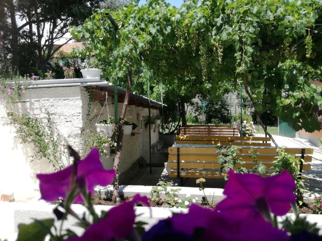 Zahrada ubytování Apartments Odrina