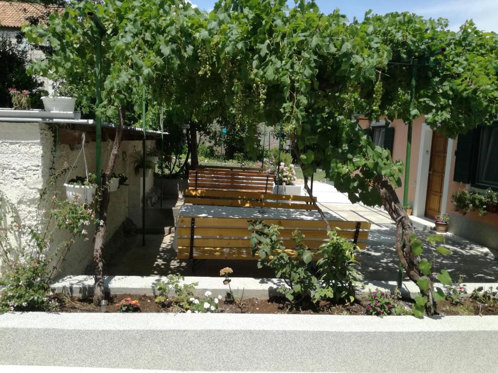 Zahrada ubytování Apartments Odrina