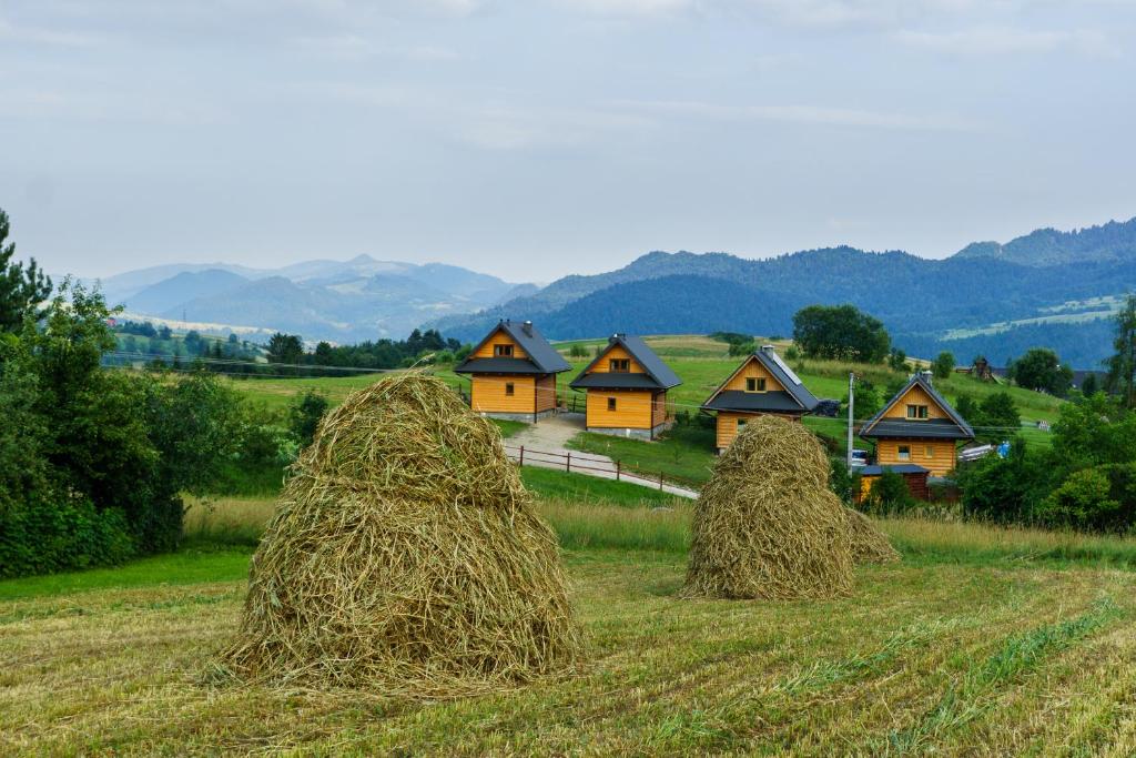 Příroda nedaleko chaty