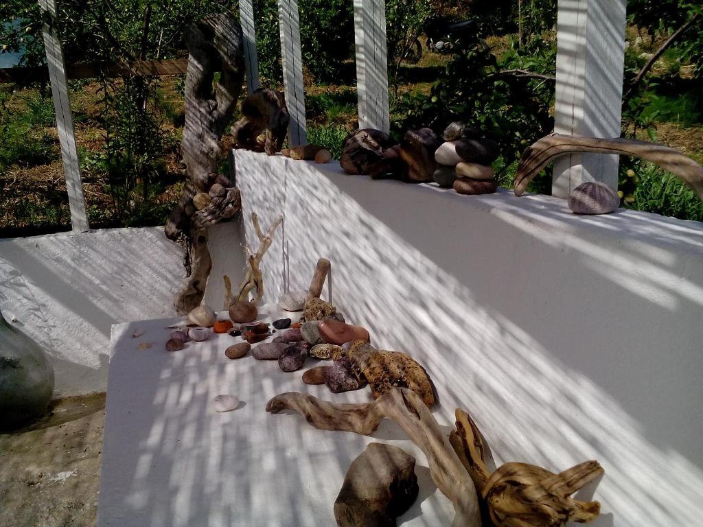 Fotografie z fotogalerie ubytování Studios Andromache v destinaci Skopelos Town