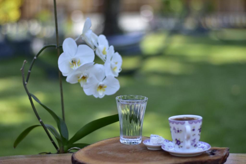 Сад в Likya Adrasan