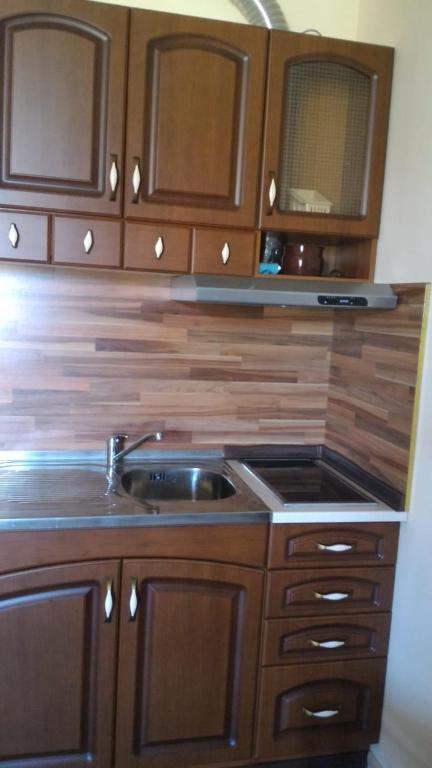 Kuchyň nebo kuchyňský kout v ubytování Tatyana Apartment