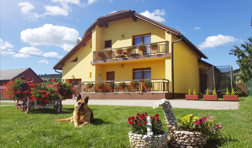 a dog sitting in the grass in front of a house at Apartment Satori in Korenica
