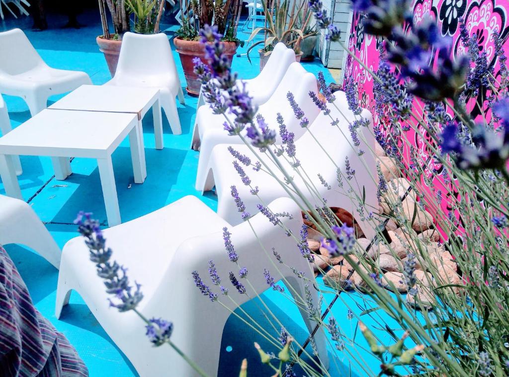 Castrezatto的住宿－B&B Franciacorta，花丛花园中的一排白色椅子