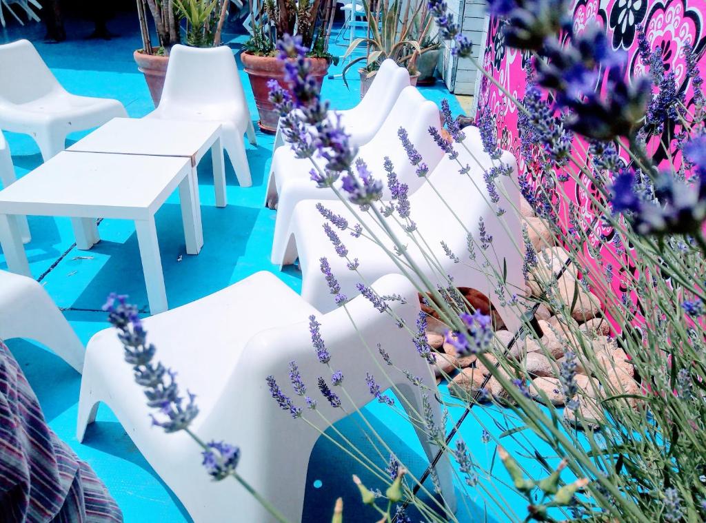 a row of white chairs in a garden with flowers at B&B Franciacorta in Castrezatto