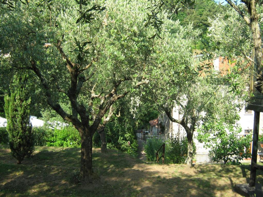 Ogród w obiekcie L'Arcadia